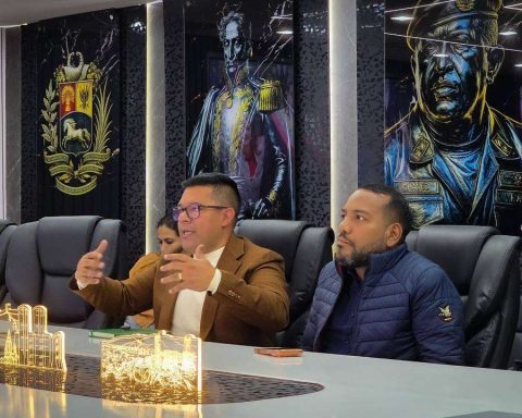 Psuv will develop the National Agenda for Peace from January 22 to 25