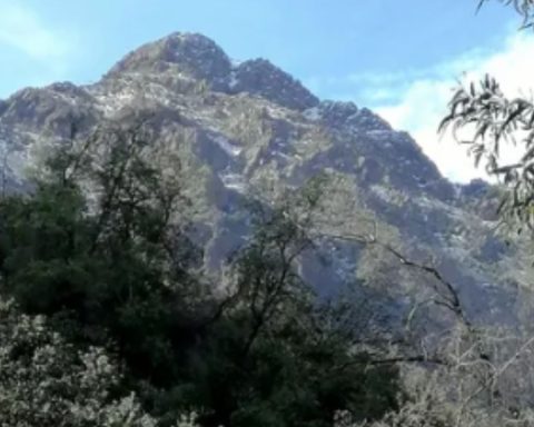 Quebrada de Macul Natural Park: where it is, schedules and what to do