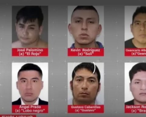 Reserved testimony was key to clarifying the massacre of 13 workers in Pataz