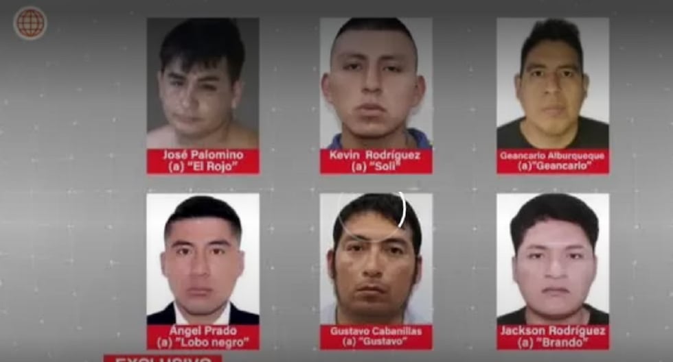 Reserved testimony was key to clarifying the massacre of 13 workers in Pataz