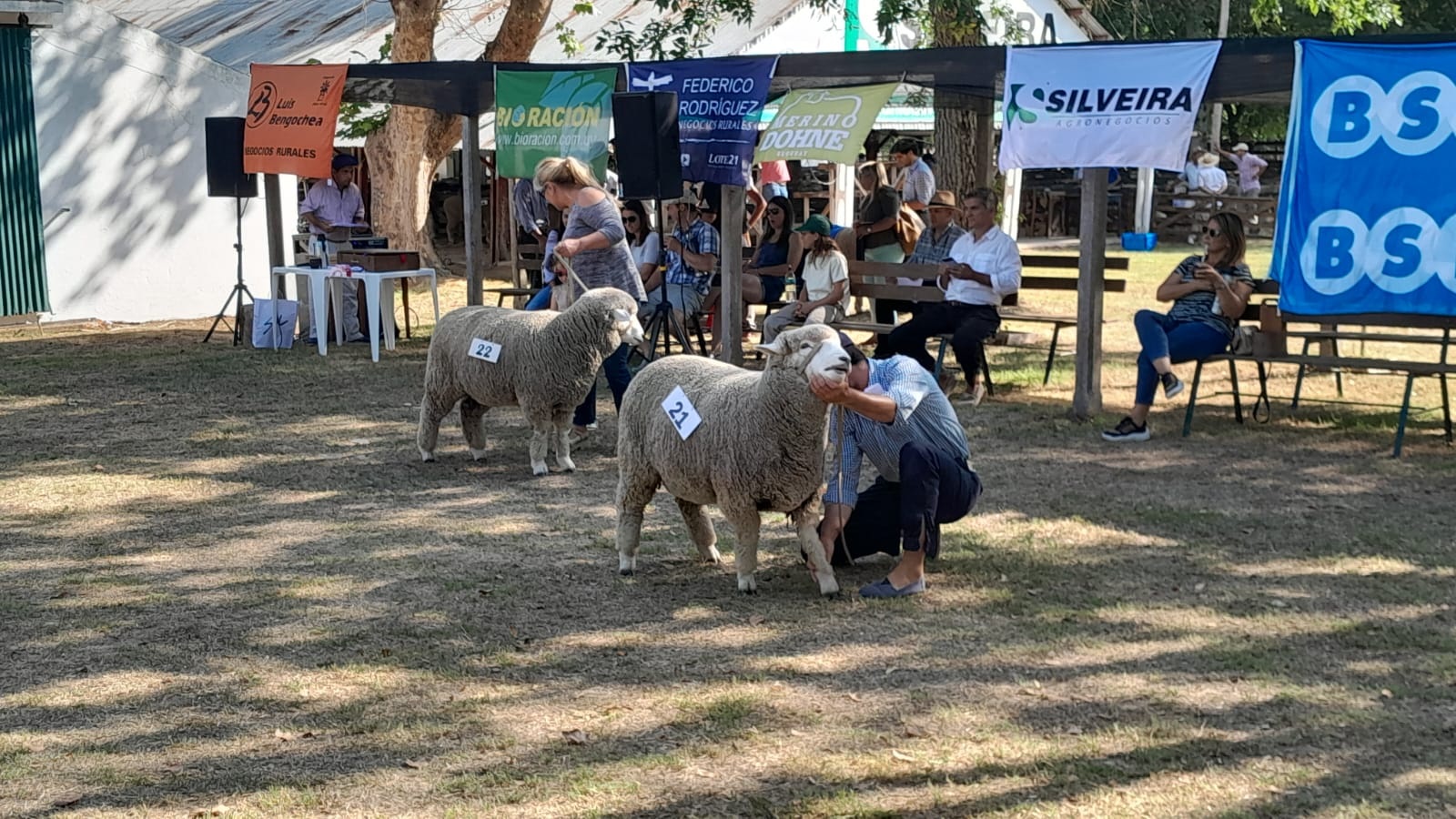 Sheep Expo 2026