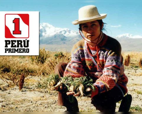 Sister of Ollanta Humala runs for the Senate with Peru Primero