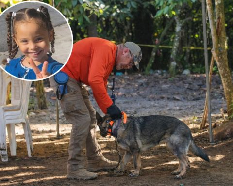 Cobra fuerza sospecha niña Brianna Genao, desaparecida en Puerto Plata, está viva