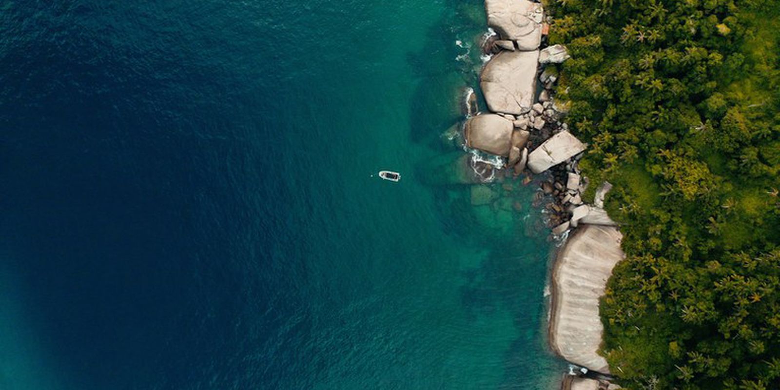 TV Brasil shows documentary with coastal preservation initiatives