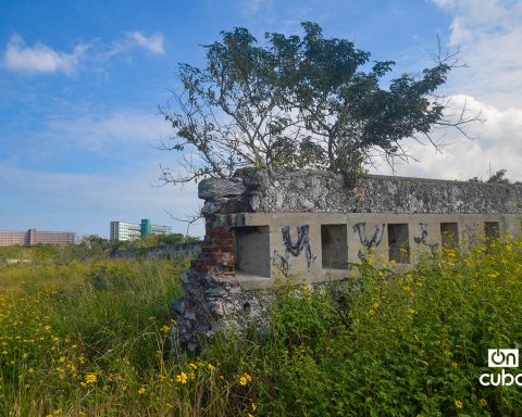 The Costa Battery No.1, 130 years later
