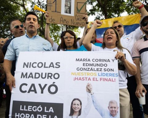 The Council for the Democratic Transition advocates for the leadership of Edmundo González