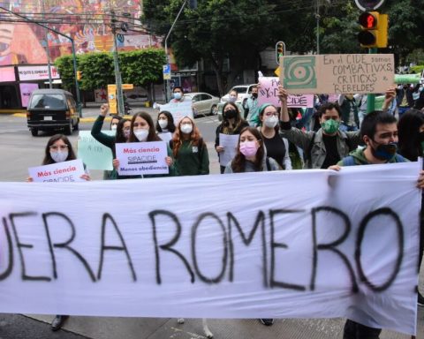 The accusations that led to the dismissal of Romero Tellaeche as director of the CIDE