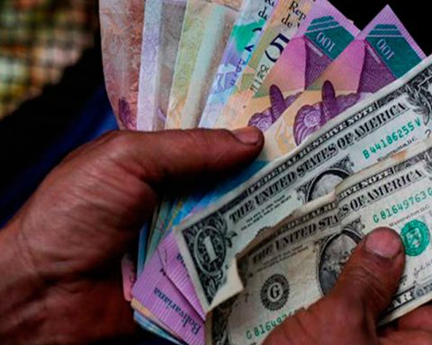 The bolivar closed 2025 with a devaluation of 82.7% and a greater gap against the parallel dollar