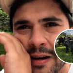 Ganadero llora por el robo de su ganado en Galapa (Atlántico).