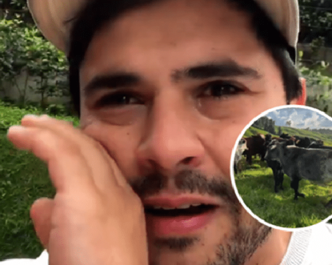 Ganadero llora por el robo de su ganado en Galapa (Atlántico).