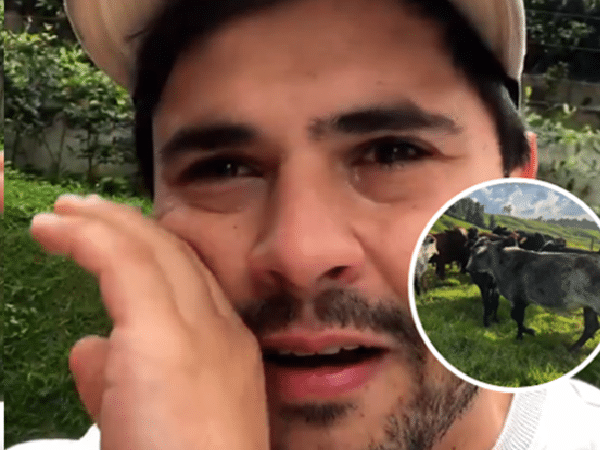 Ganadero llora por el robo de su ganado en Galapa (Atlántico).