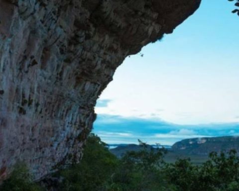 Área protegida más grande de Colombia (1)