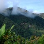 The search continues for a lost young man in the Farallones of Cali