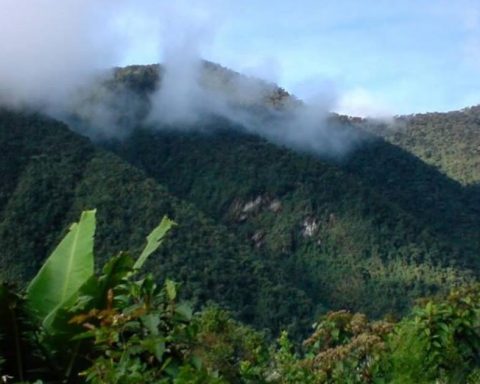 The search continues for a lost young man in the Farallones of Cali