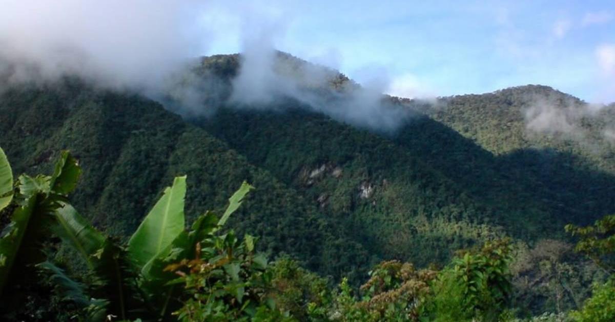 The search continues for a lost young man in the Farallones of Cali