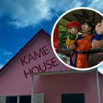 El parque temático inspirado en Dragon Ball Z. Foto: Instagram @kamepark