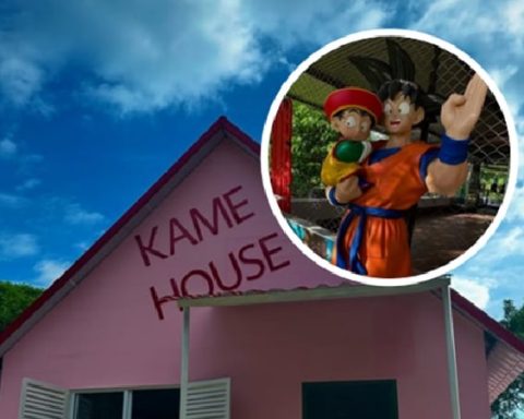 El parque temático inspirado en Dragon Ball Z. Foto: Instagram @kamepark