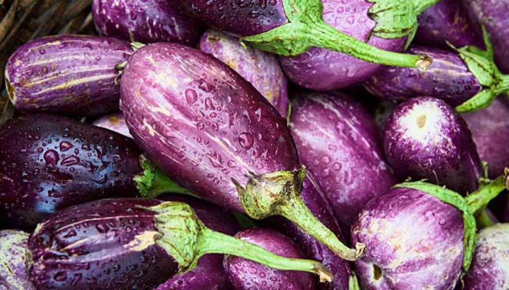El inesperado poder de la berenjena: descubre como sus semillas ayudan contra cáncer de colon