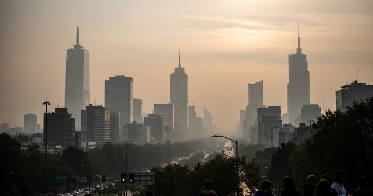 They activate environmental contingency in the ZMVM: this is how the Double Today Circulates for this Friday, January 9