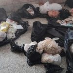 They arrest a couple at the Holguín airport with 121 kilos of meat from protected species