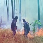 They declare temporary closure of Cerro El Café due to forest fire