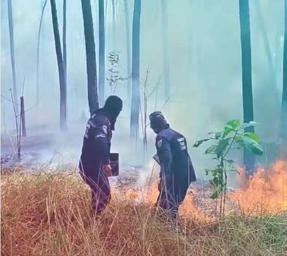 They declare temporary closure of Cerro El Café due to forest fire