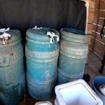 They find 1,700 liters of diesel in a bus