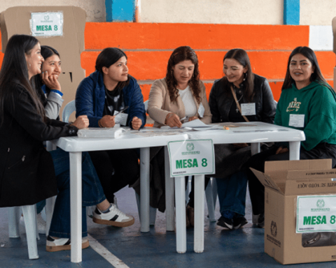 Jurados de Votación.