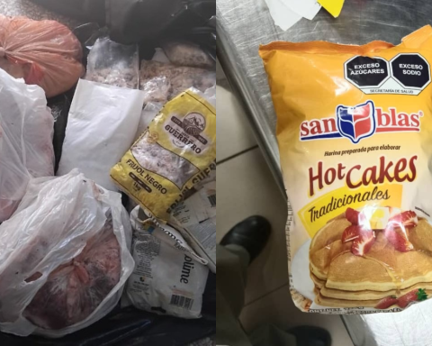 They prevent trafficking of protected marine species in Holguín, and drugs at Havana airport