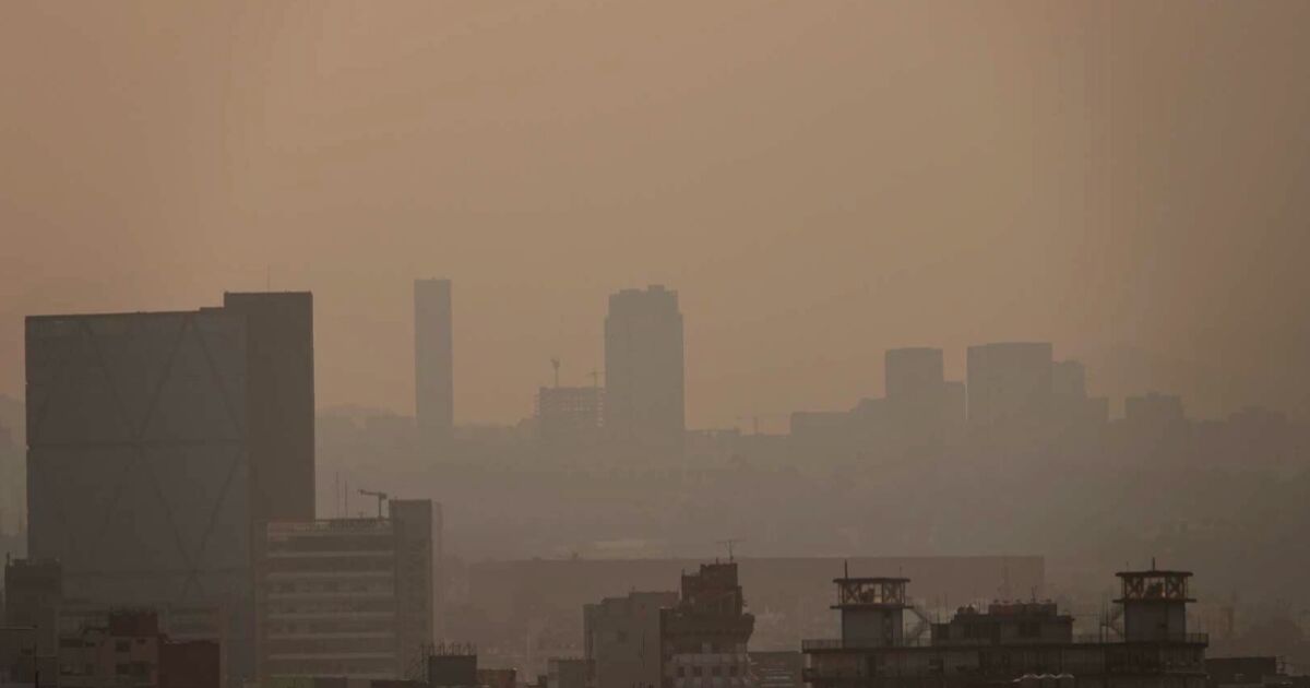 This is how the Double Hoy No Circula looks like for Friday, January 9 in CDMX and Edomex due to contingency