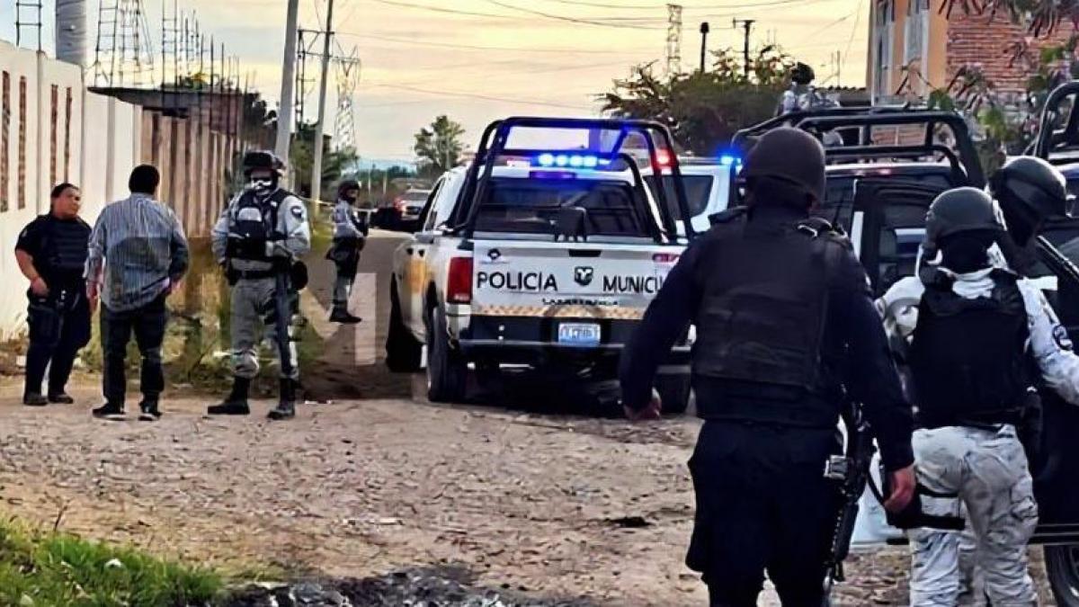 Tragedy in Mexico: "It is a regrettable and cowardly attack and those responsible will be found"