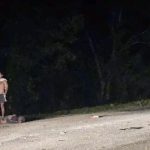 Two people die in a traffic accident in Las Tunas