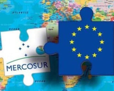 Uruguayan products that will enter the EU with zero tariffs