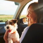 Vacations in Chile: what documents do you need to be able to enter with your pet