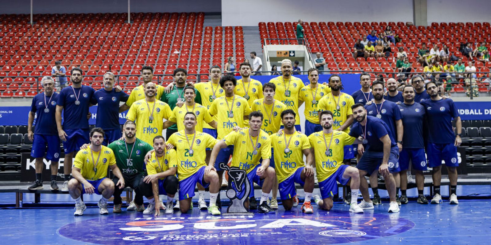 Vice in South-Central America, Brazil seals place in the handball World Cup