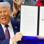 What is the Peace Council, Trump's alternative to the UN, and how would it work?