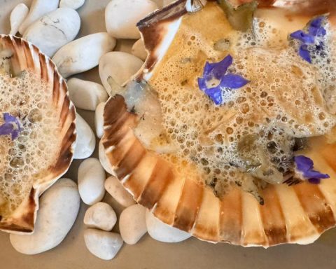 Where to eat? The Shell Festival redefines marine freshness in CDMX
