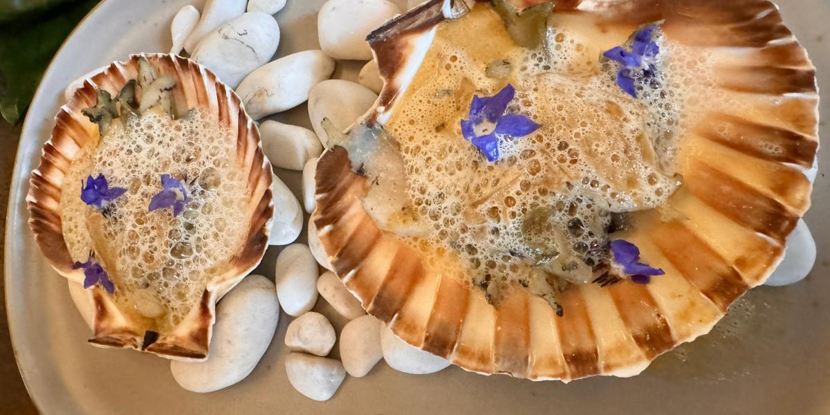 Where to eat? The Shell Festival redefines marine freshness in CDMX