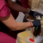 2.8 tons of marijuana seized in Zulia incinerated