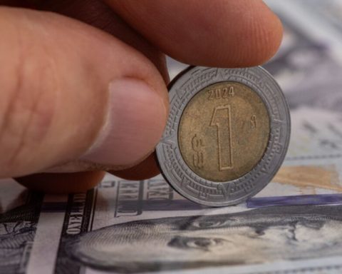 After falling almost 5% in 2025, remittances enter a phase of low growth until 2029