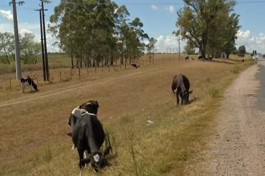 Announcement of MGAP measures due to water deficit