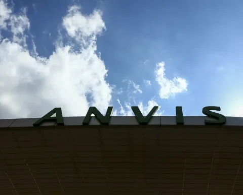 Anvisa and Inmetro action monitors carnival products in DF and BA