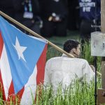 Bad Bunny: the universal slang of the farmhouse