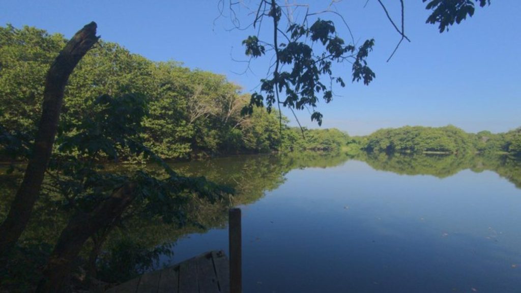 Baseball prospect who died in Guanuma lagoon was sharing with five other teenagers