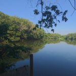Baseball prospect who died in Guanuma lagoon was sharing with five other teenagers