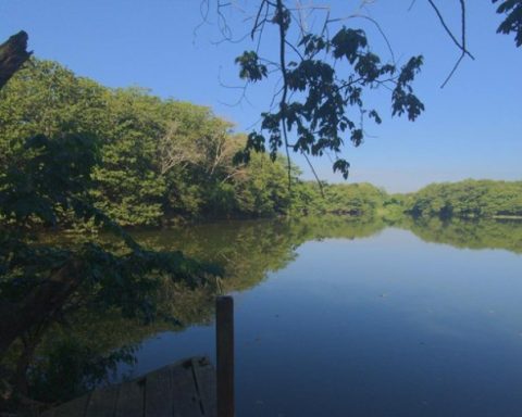 Baseball prospect who died in Guanuma lagoon was sharing with five other teenagers