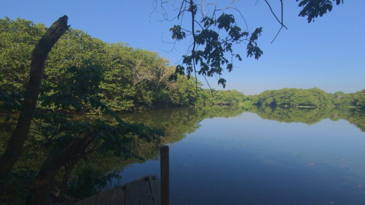 Baseball prospect who died in Guanuma lagoon was sharing with five other teenagers