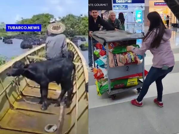 Toneladas de alimentos llegarán a Córdoba para atender los animales afectados por inundaciones