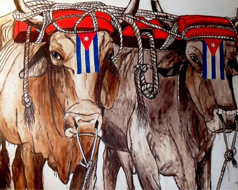 Bramble at the Barcelona Workshop