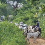 Brazilian economic activity grows 2.5% in 2025